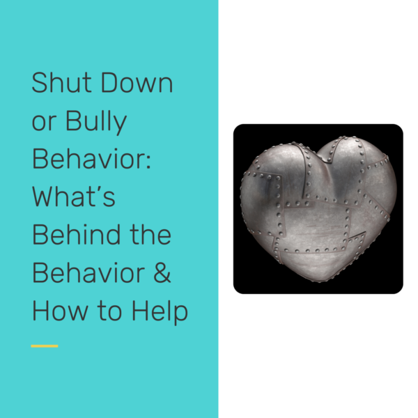 Shut Down or Bully behavior - reclaiming our students